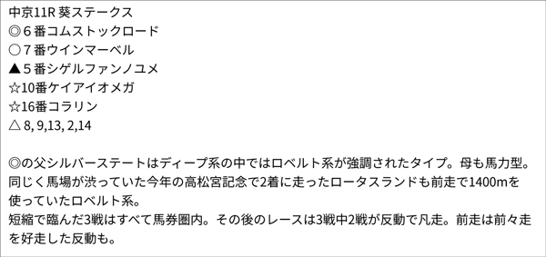 5/28(土) 中京11R