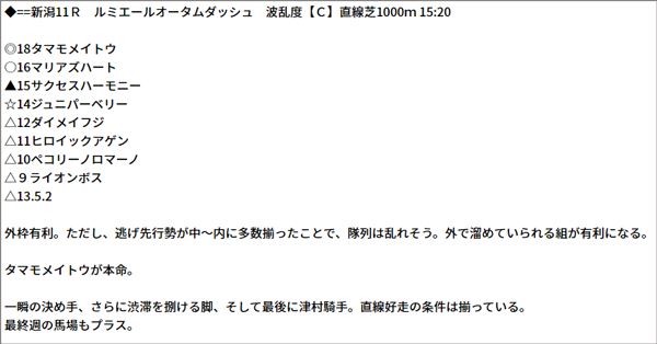 10/31(日) 新潟11R 予想
