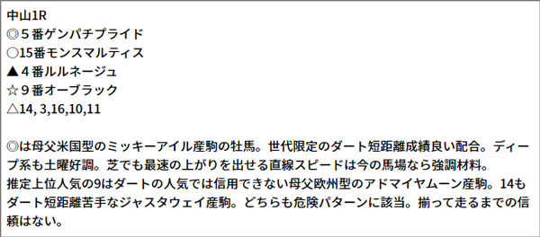 1/16(日) 中山1R 予想