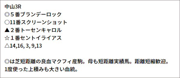 9/18(土) 中山3R 予想
