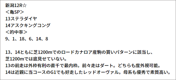 10/9(土) 新潟12R 予想