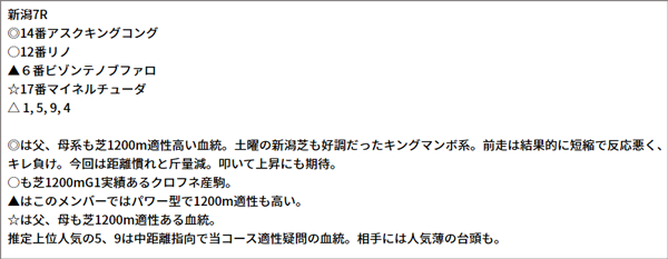 10/31(日) 新潟7R 予想