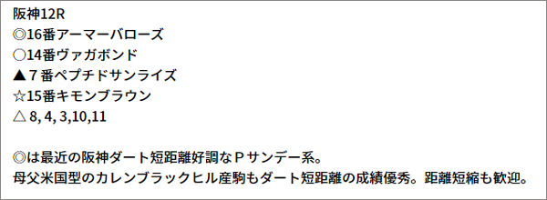 11/6(土) 阪神12R 予想本文