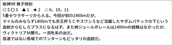 6/27(日) 阪神9R 予想