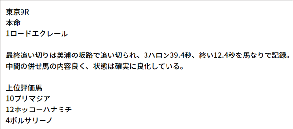 1/29(土) 東京9R 予想