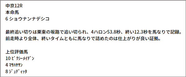 6/12(土) 中京12R 予想本文