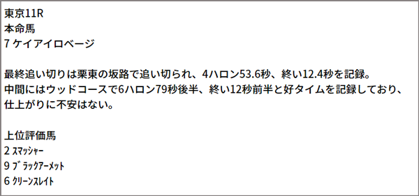 6/20(日) 東京11R 予想